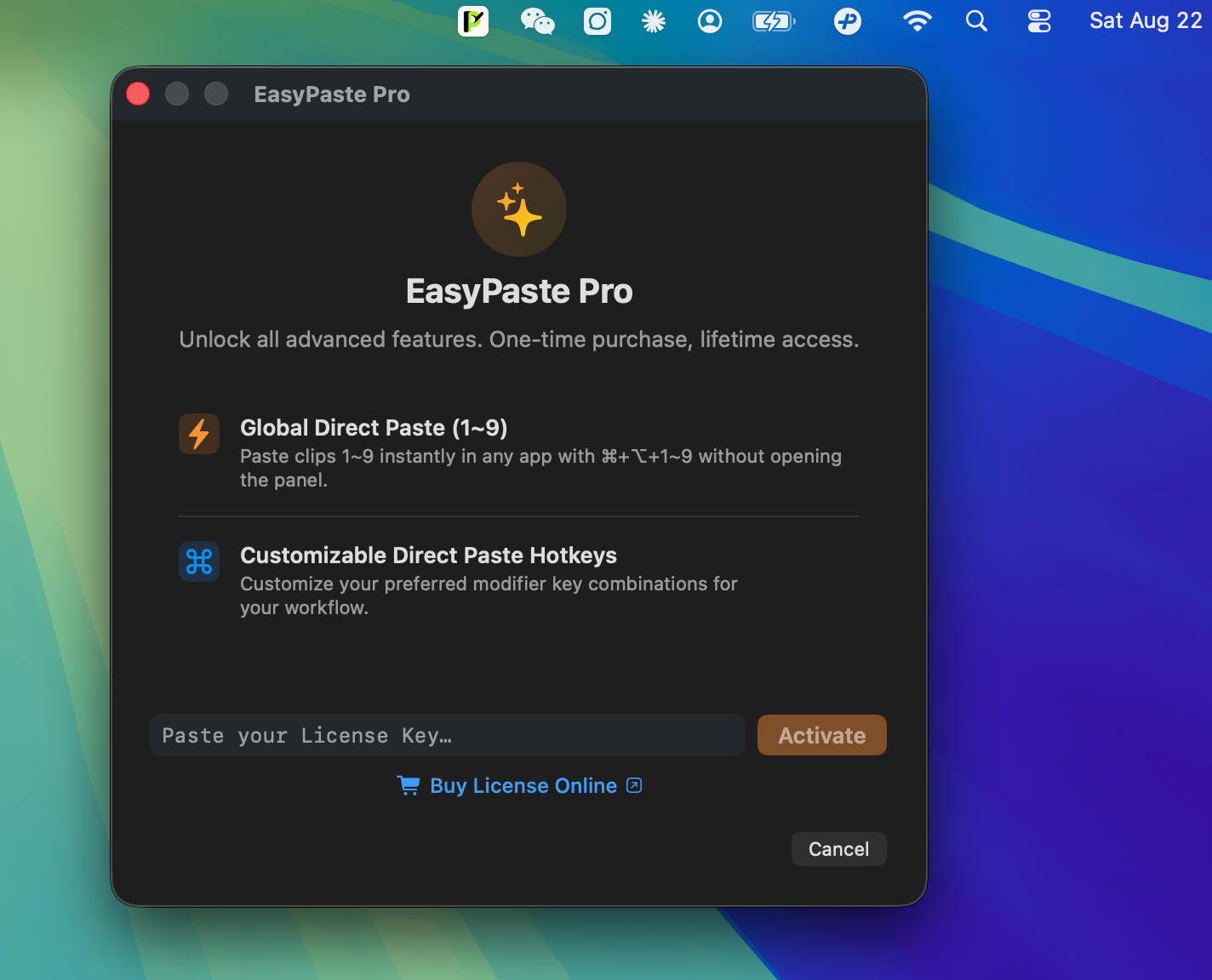 EasyPaste Pro License Activation Window